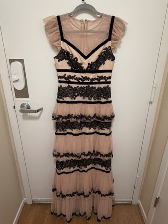 BCBGMaxAzria Dresses & Skirts - BCBGMAXAZRIA Blush and Black Lace Tiered Gown
